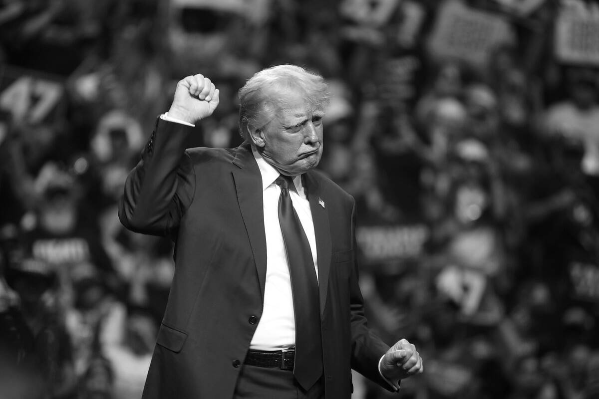 Donald Trump pumping his fist before a packed 2024 campaign rally, surrounded by “47” and “Fight” signs.